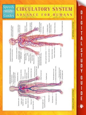 cover image of Circulatory System Advanced For Humans
